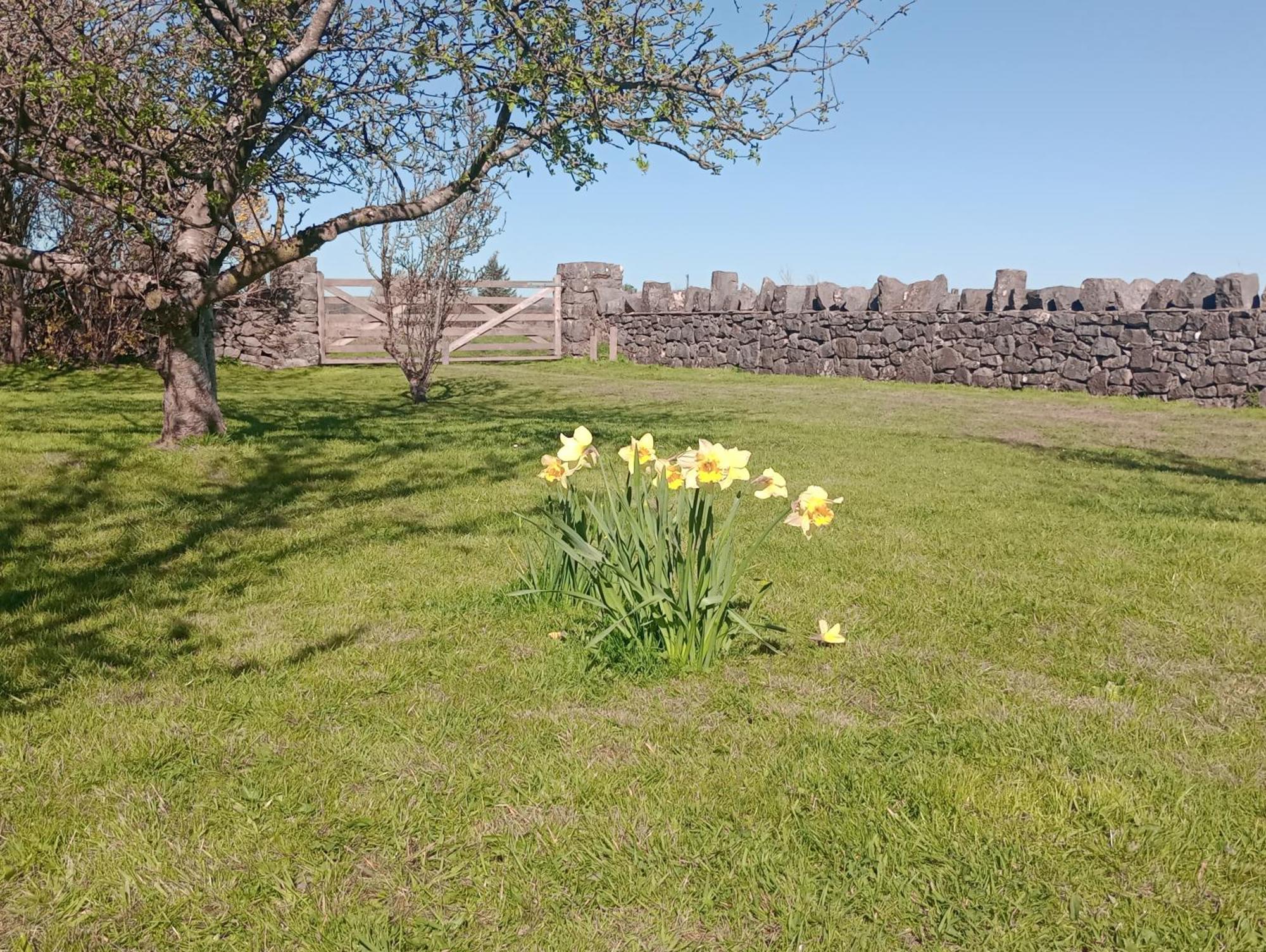 Villa Sunnyside Farm Grange-over-Sands Exterior foto